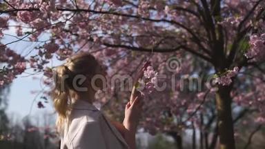 年轻的白种人白种人女人在欧洲的里加拉脱维亚欣<strong>赏樱</strong>花<strong>樱</strong>花树